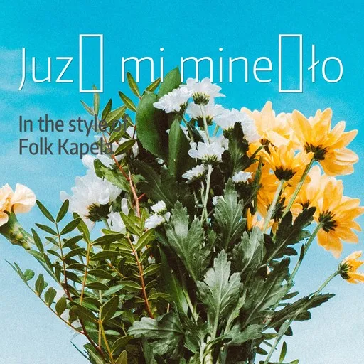 Karaoke Już mi minęło by Folk Kapela — sing along with lyrics on Singa