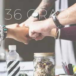 Cover art for 36 Grad. - 2raumwohnung karaoke version