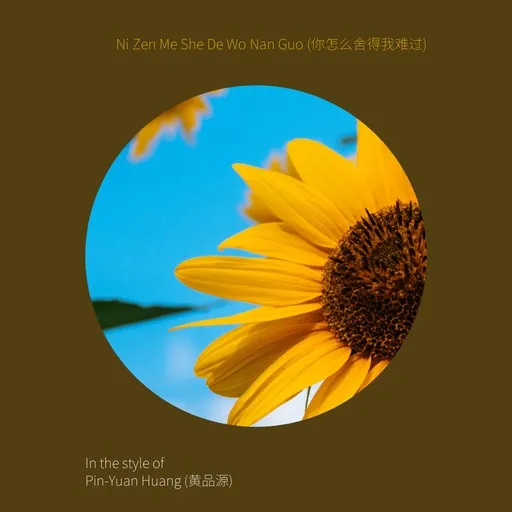 Karaoke 你怎么舍得我难过 esittäjältä Pin-Yuan Huang (黄品源) — laula mukana sanoituksilla Singassa