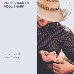Cover art for The Pool Shark - Dave Dudley karaoke version