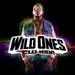 Karaokekappaleen Whistle - Flo Rida kansikuva
