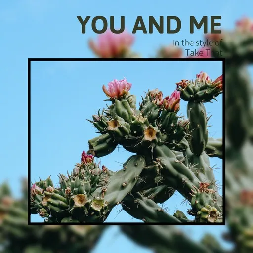 You And Me - Karaoke