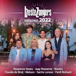 Titelbild für Grijs - Jaap Reesema Karaoke-Version