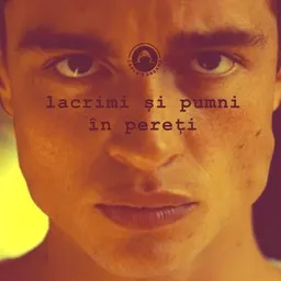 Omslagsbild för Lacrimi Si Pumni In Pereti - Carla’s Dreams karaokeversion