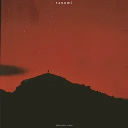 Cover art for Tähdet, tähdet - Rauli Badding Somerjoki karaoke version