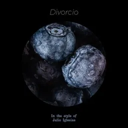 Cover art for Divorcio - Julio Iglesias karaoke version
