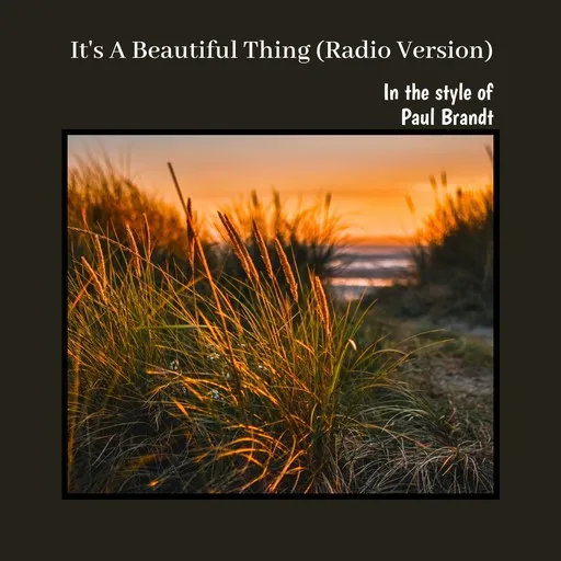 Karaoke It's A Beautiful Thing (Radio Version) av Paul Brandt — sjung med på texten på Singa