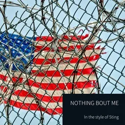 Omslagsbild för Nothing Bout Me - Sting karaokeversion