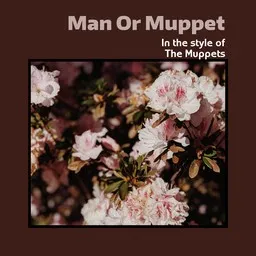 Cover art for The Muppets