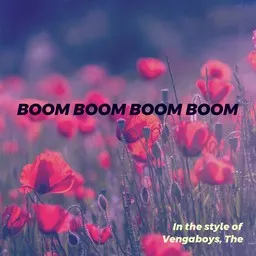 Titelbild für Boom Boom Boom Boom - The Vengaboys Karaoke-Version