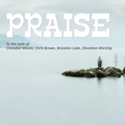 Cover art for Praise - Brandon Lake,Chandler Moore,Chris Brown,Elevation Worship karaoke version