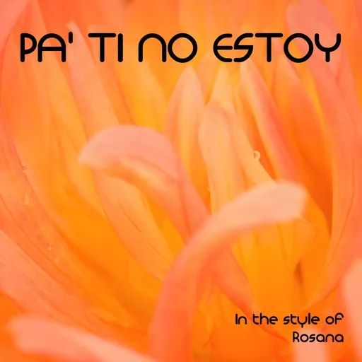Pa' Ti No Estoy - Karaoke