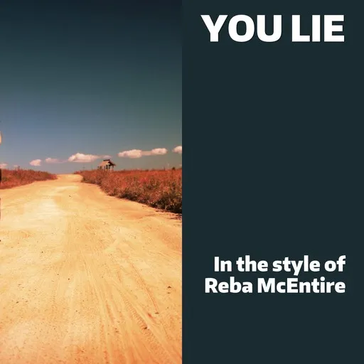 You Lie - Karaoke