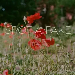 Cover art for Spot a Fake - Ava Max karaoke version