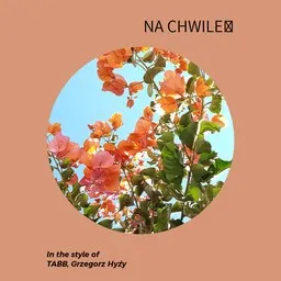 Cover art for Na chwilę - Grzegorz Hyży,TABB karaoke version