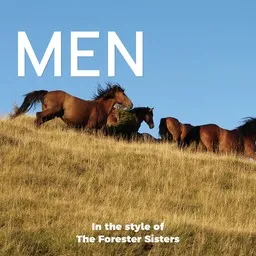 Titelbild für Men - The Forester Sisters Karaoke-Version