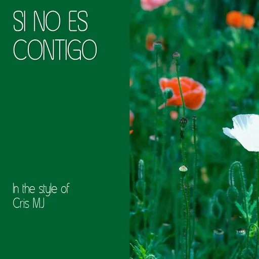 Si No Es Contigo - Karaoke