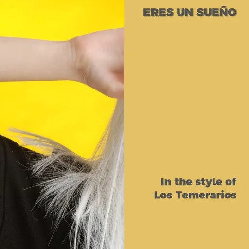 Karaoke Eres Un Sueño by Los Temerarios — sing along with lyrics on Singa