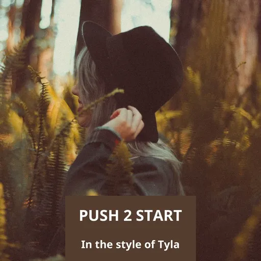 Push 2 Start - Karaoke