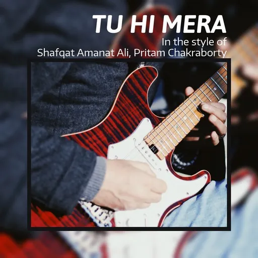 Karaoke Tu Hi Mera esittäjältä Pritam Chakraborty, Shafqat Amanat Ali — laula mukana sanoituksilla Singassa