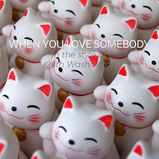 Karaoke When You Love Somebody by Keith Washington — sing along with lyrics on Singa