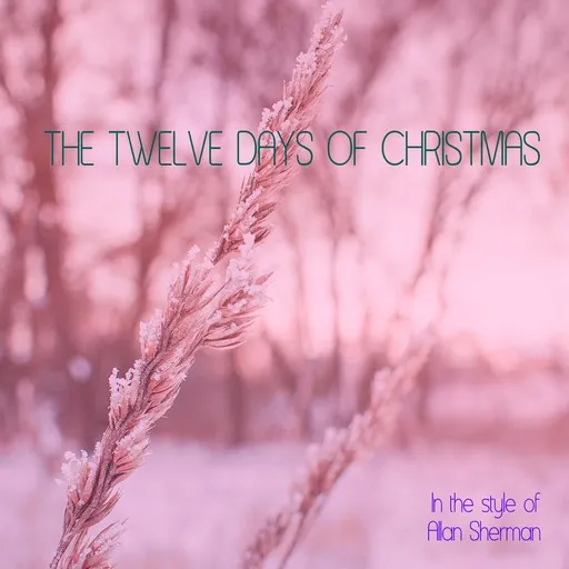 The Twelve Days Of Christmas - Karaoke