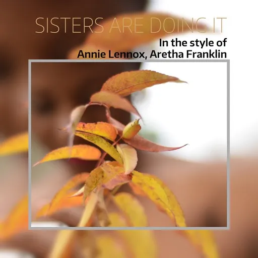 Sisters Are Doing It - Karaoke