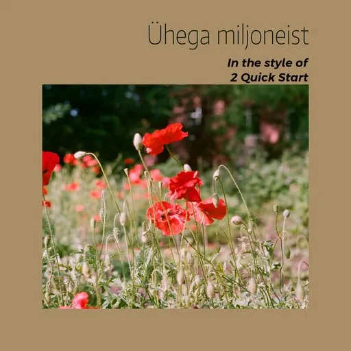 Ühega miljoneist - Karaoke