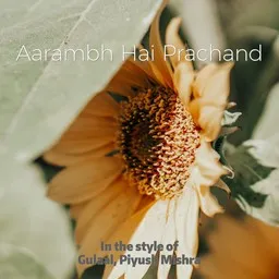 Titelbild für Aarambh Hai Prachand - Gulaal,Piyush Mishra Karaoke-Version