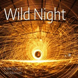 Karaokekappaleen Wild Night - Van Morrison kansikuva