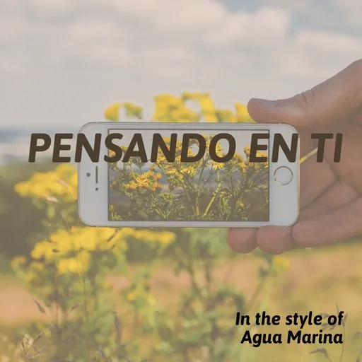 Pensando En Ti - Karaoke