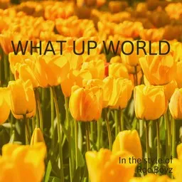 Omslagsbild för What Up World - Roc Boyz karaokeversion
