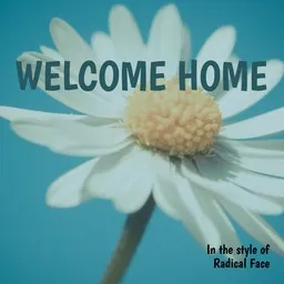 Radical Face - Karaoke