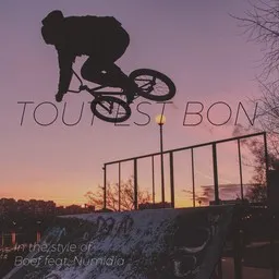 Cover art for Tout est bon - Boef,Numidia karaoke version