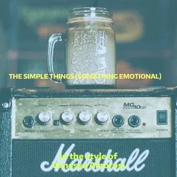 Cover art for The Simple Things (Something Emotional) - Vanessa Amorosi karaoke version