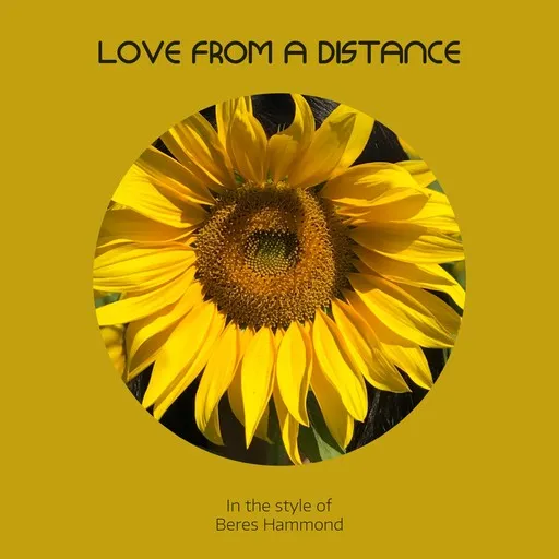 Love From A Distance - Karaoke