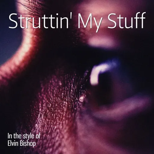 Karaoke Struttin' My Stuff by Elvin Bishop — sing along with lyrics on Singa