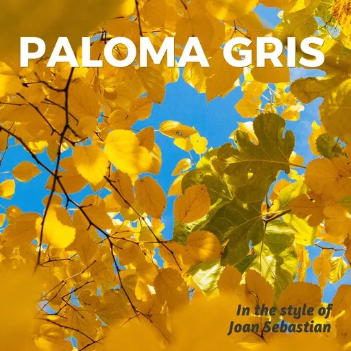 Paloma Gris - Karaoke