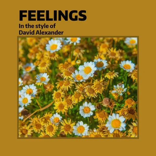 Karaoke Feelings by David Alexander — sing along with lyrics on Singa