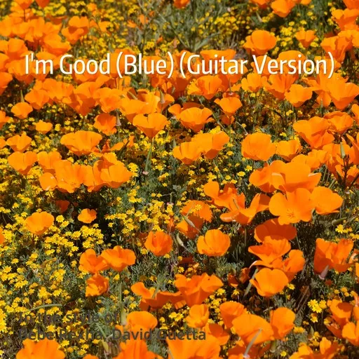Karaoke I'm Good (Blue) (Guitar Version) by Bebe Rexha, David Guetta — sing along with lyrics on Singa