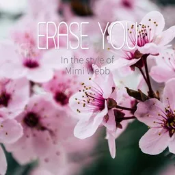 Karaokekappaleen Erase You - Mimi Webb kansikuva