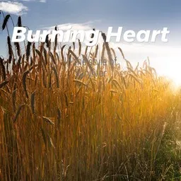Cover art for Burning Heart - Survivor karaoke version