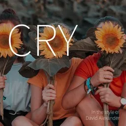 Cover art for Cry - David Alexander karaoke version