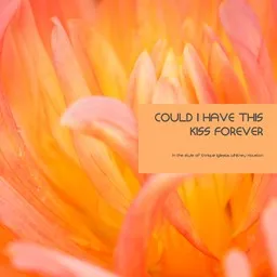 Cover art for Could I Have This Kiss Forever - Enrique Iglesias,Whitney Houston karaoke version
