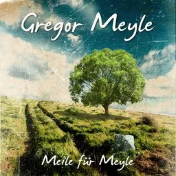 Cover art for Du bist das Licht - Gregor Meyle karaoke version