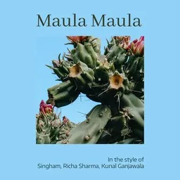 Titelbild für Maula Maula - Kunal Ganjawala,Richa Sharma,Singham Karaoke-Version