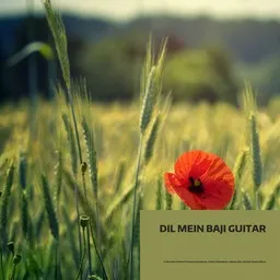 Cover art for Dil Mein Baji Guitar - Amitraj,Kasturi Wavre,Nakash Aziz,Pritam Chakraborty,Sridevi Prasanna Soundtrack karaoke version