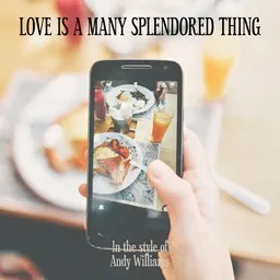 Karaokekappaleen Love Is a Many Splendored Thing - Andy Williams kansikuva