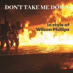 Cover art for Don't Take Me Down - Wilson Phillips karaoke version