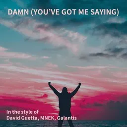 Karaokekappaleen Damn (You’ve Got Me Saying) - David Guetta,Galantis,MNEK kansikuva